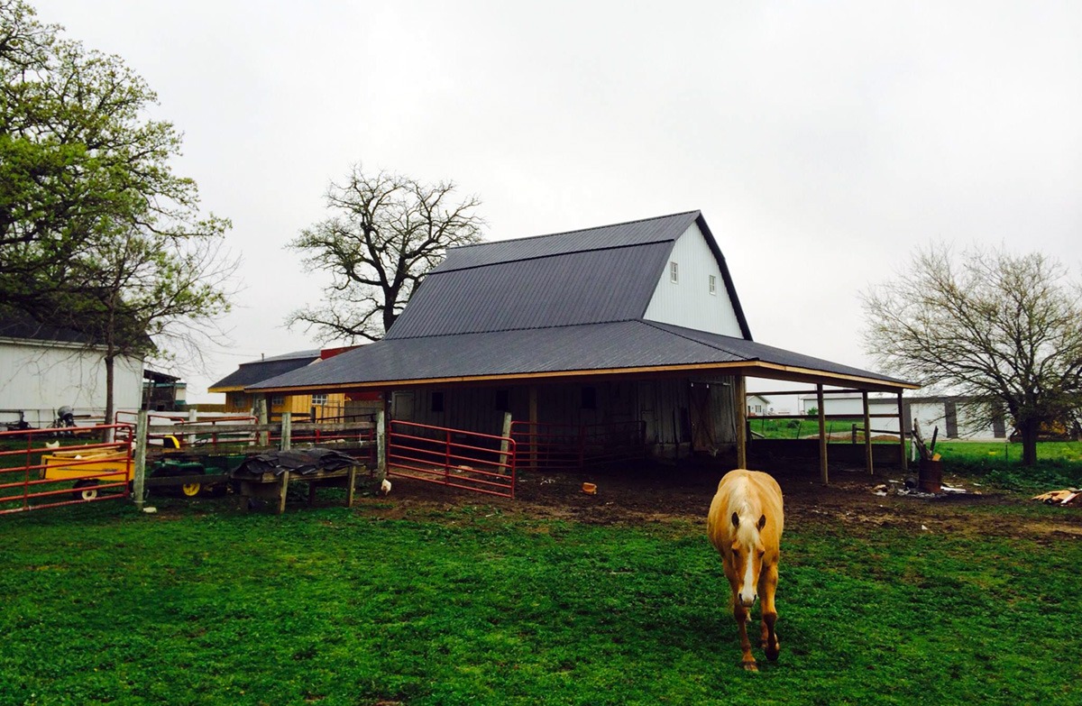 Horse Barn